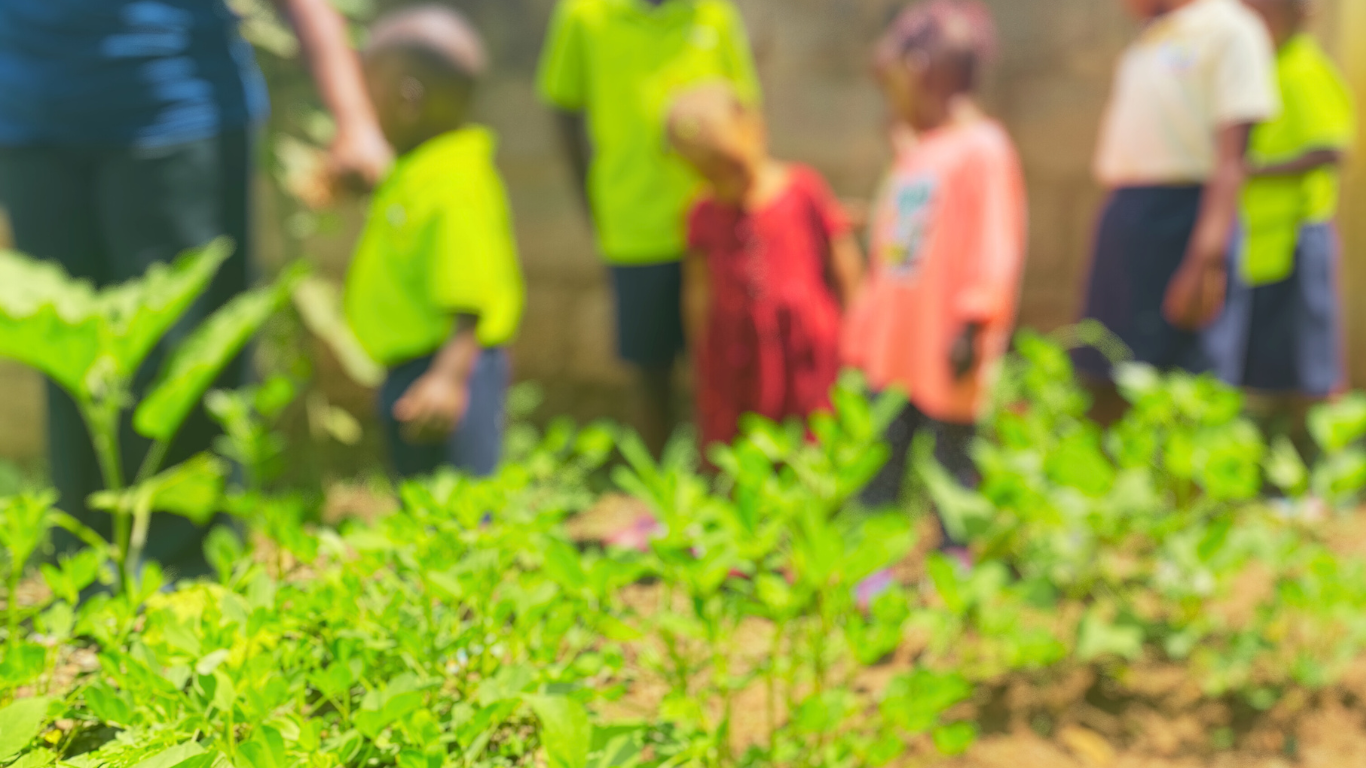 Komuka Daycare Nursery Preschool Kindergarten Bunga Kampala 10 1